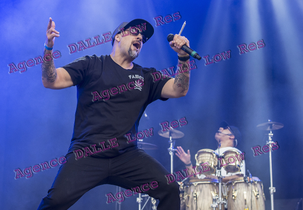 CYPRESS HILL ©ANDREU/DALLE